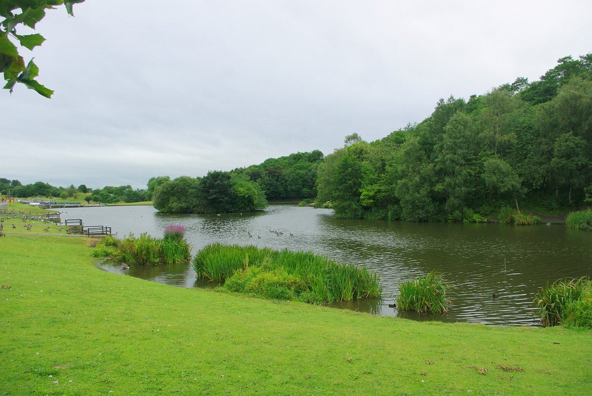 🌳 센트럴 포레스트 파크 (The Central Forest Park)